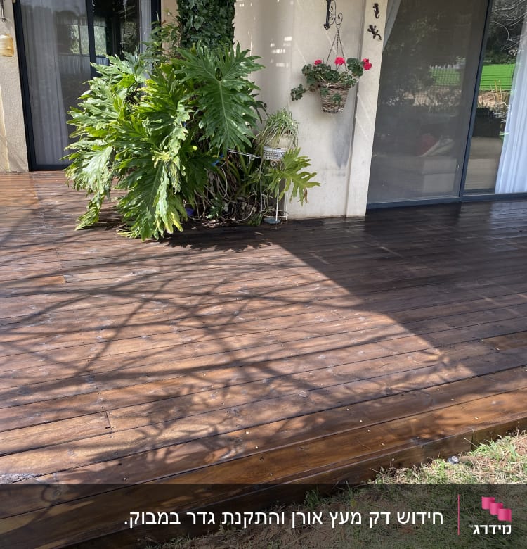 דק עץ כהה עם צמחייה ירוקה ליד קיר בית